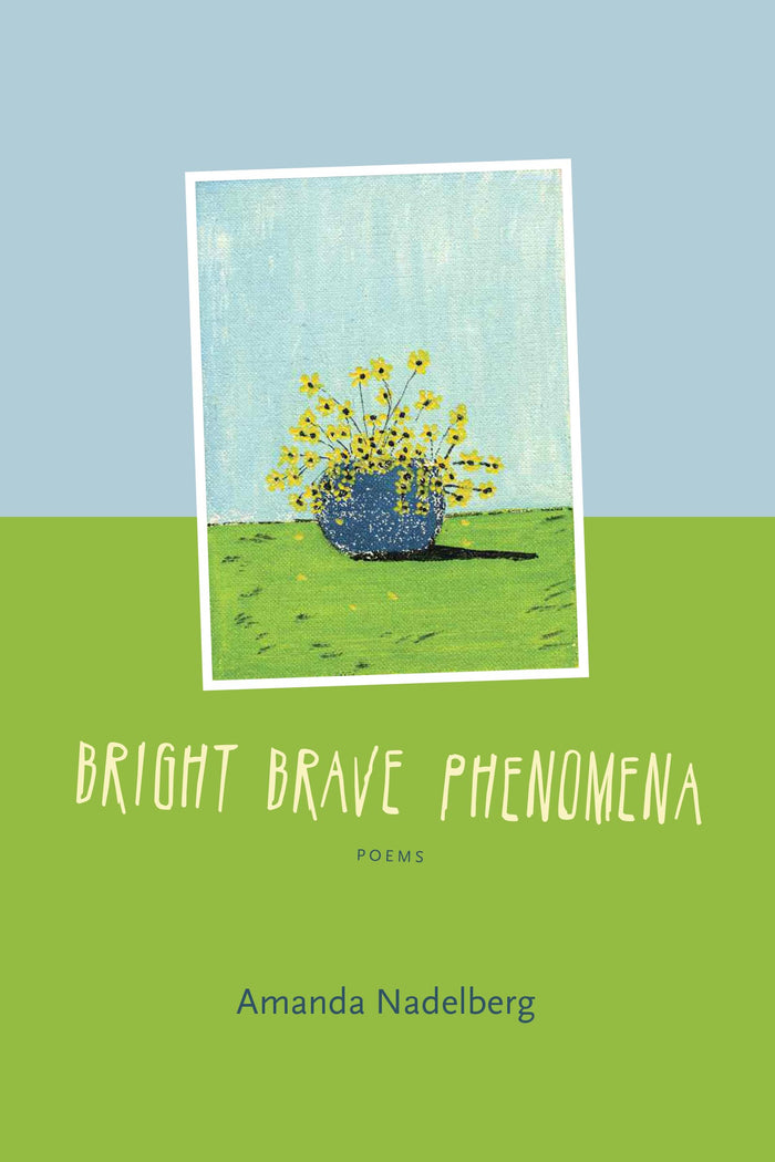 Bright Brave Phenomena