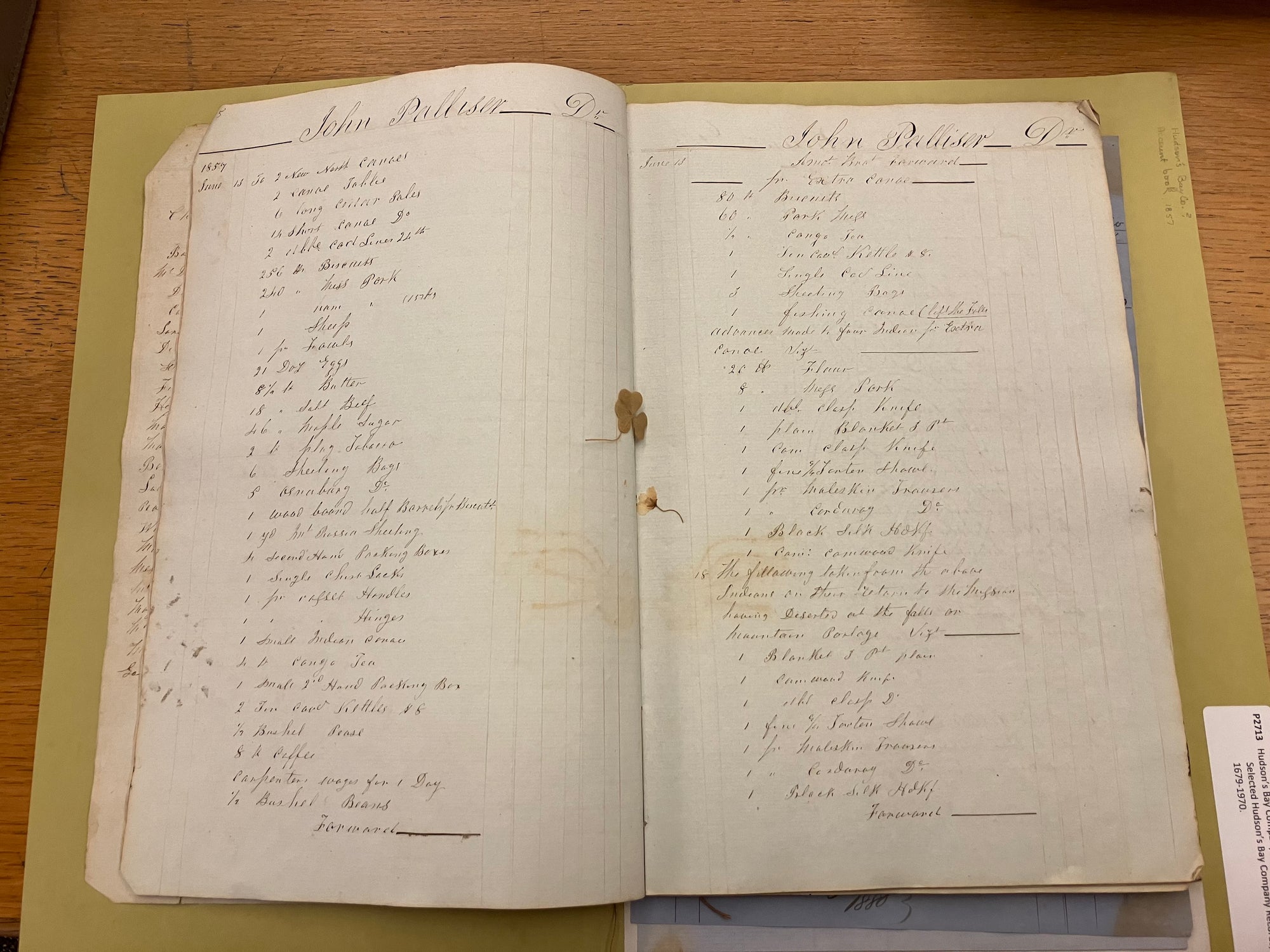 In the Stacks with Crystal Gibbins: Post 2