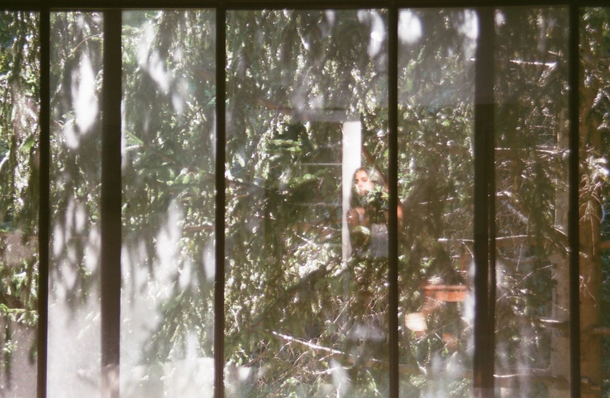 WINDOWS—SHUCHI SARASWAT