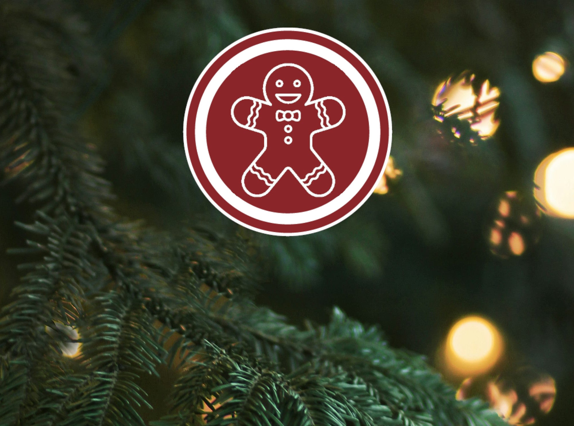 Cookie House Returns!