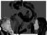Uncovering Hidden Histories: A Conversation with Karen Tei Yamashita & Angie Sijun Lou