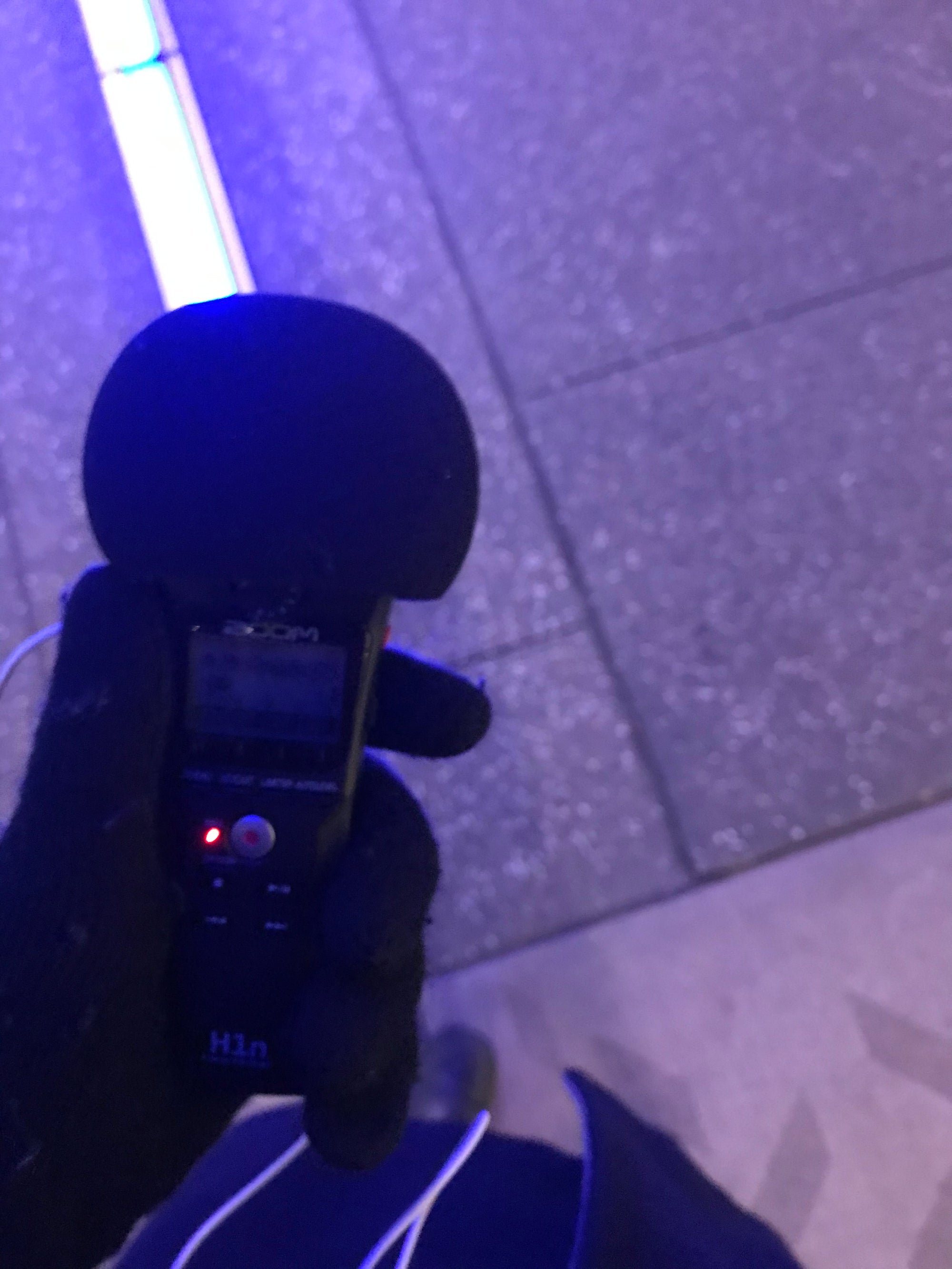 In the Stacks with Miriam Karraker: Post 3