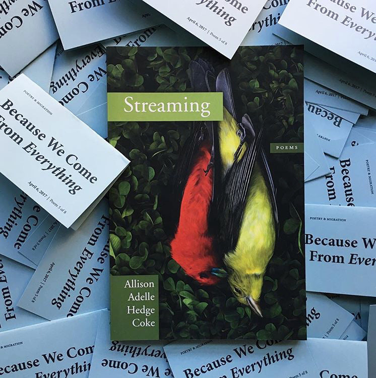 Because We Come From Everything #1