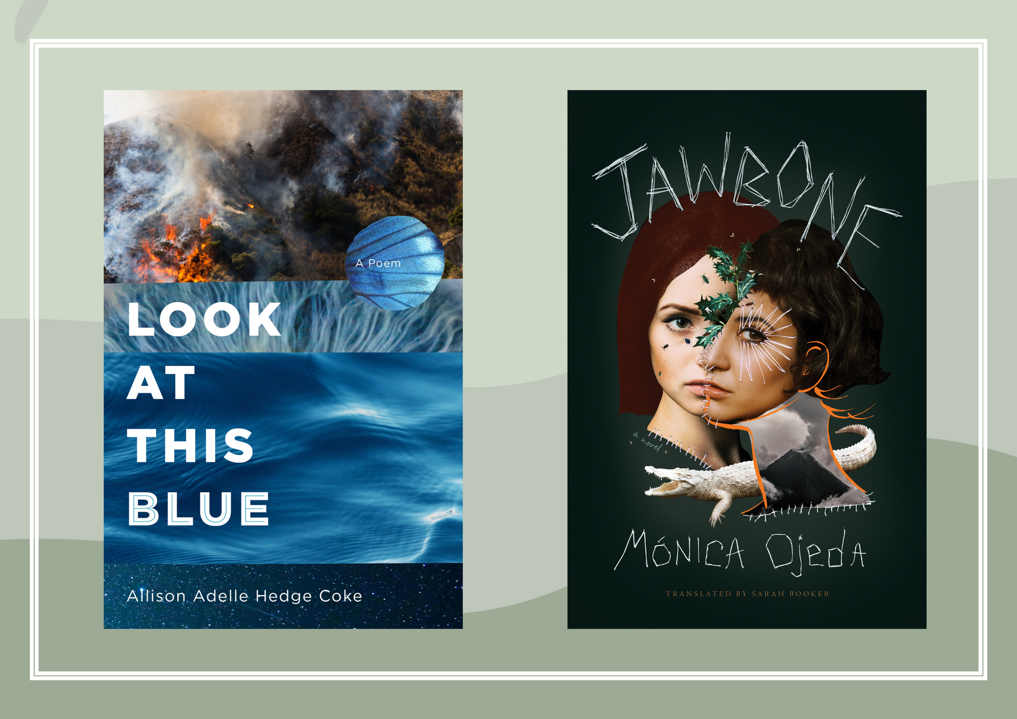Mónica Ojeda, Sarah Booker, and Allison Adelle Hedge Coke longlisted for 2022 National Book Awards