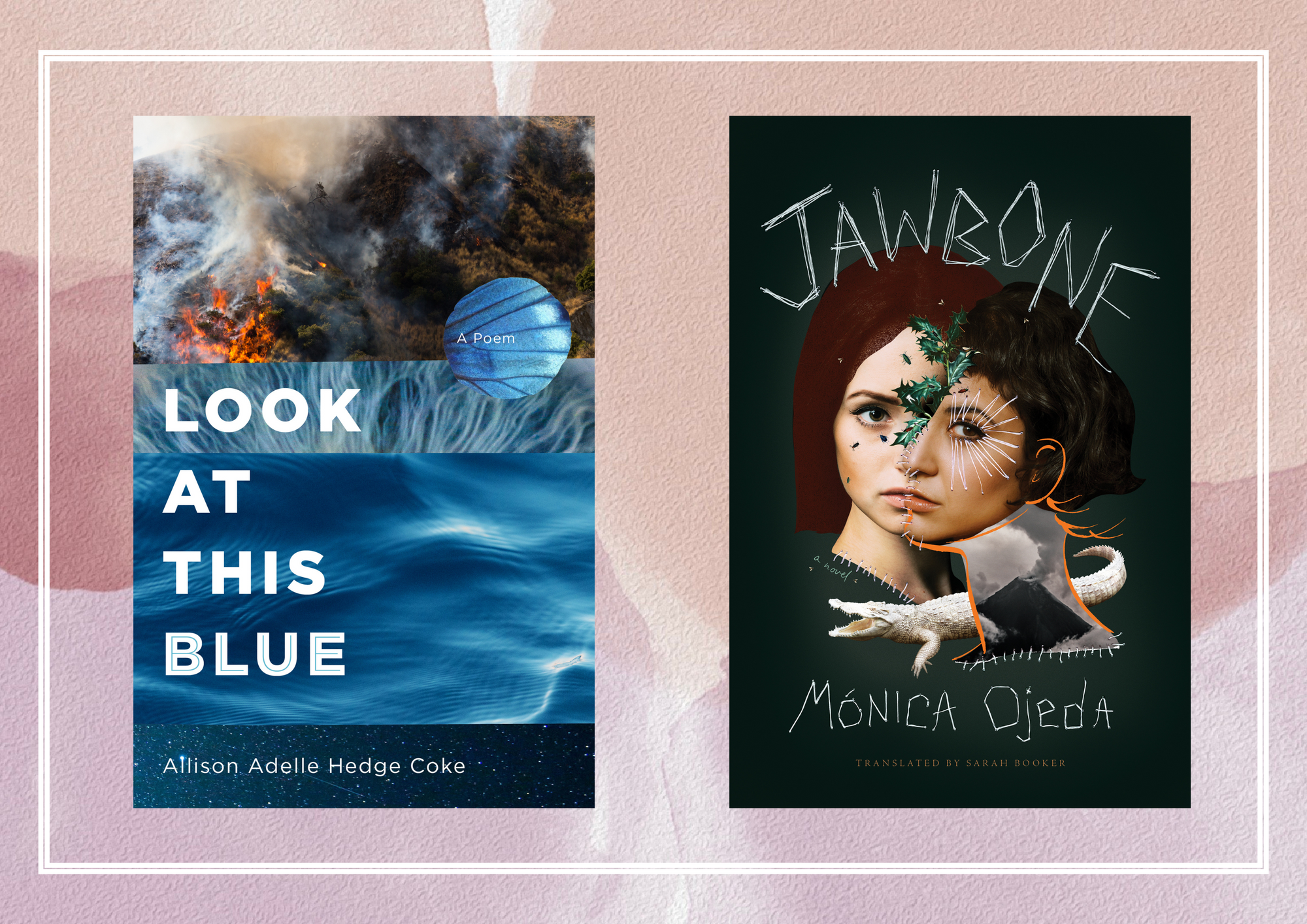 Mónica Ojeda, Sarah Booker, and Allison Adelle Hedge Coke announced as finalists for the 2022 National Book Awards