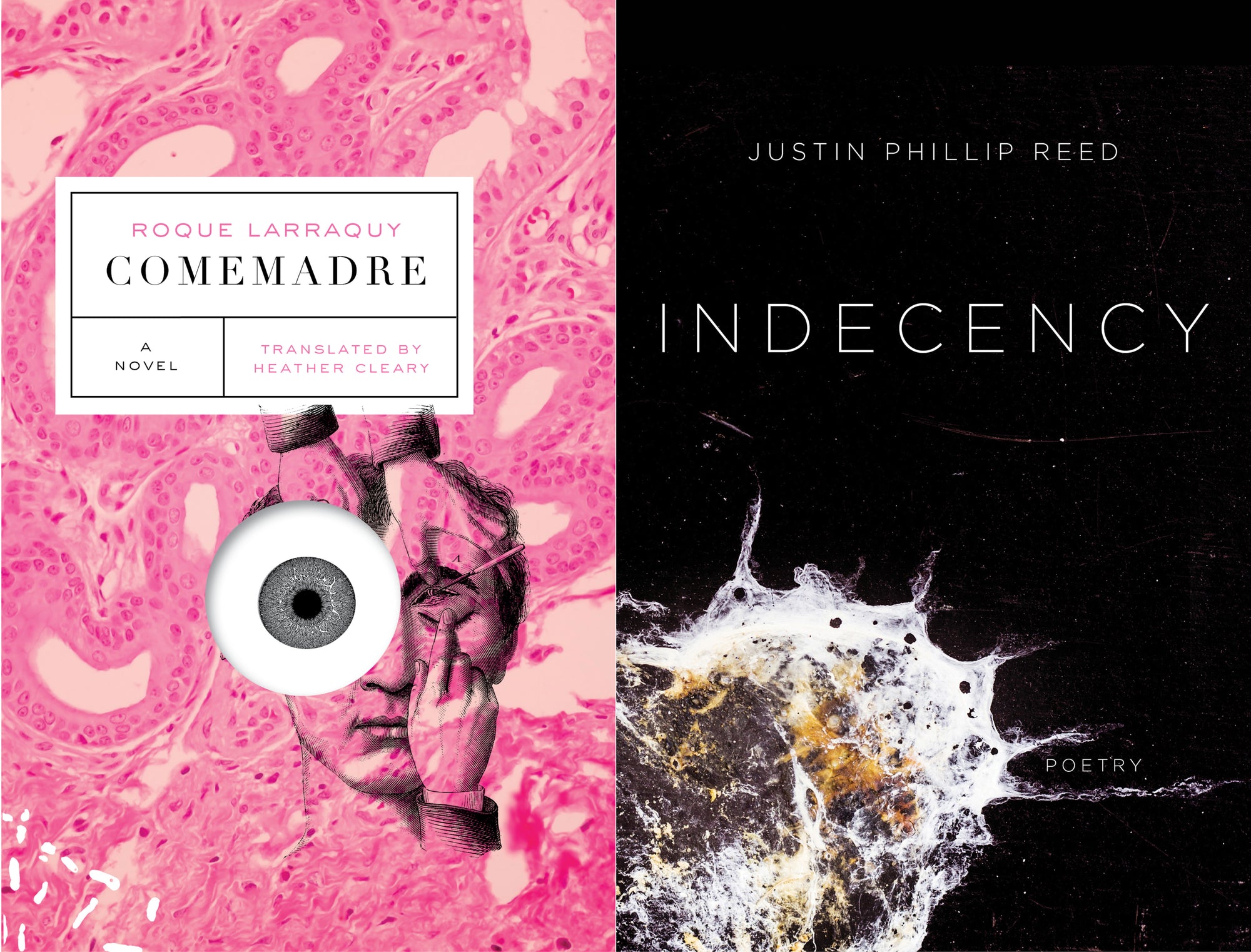 COMEMADRE and INDECENCY are longlisted for the 2018 National Book Awards