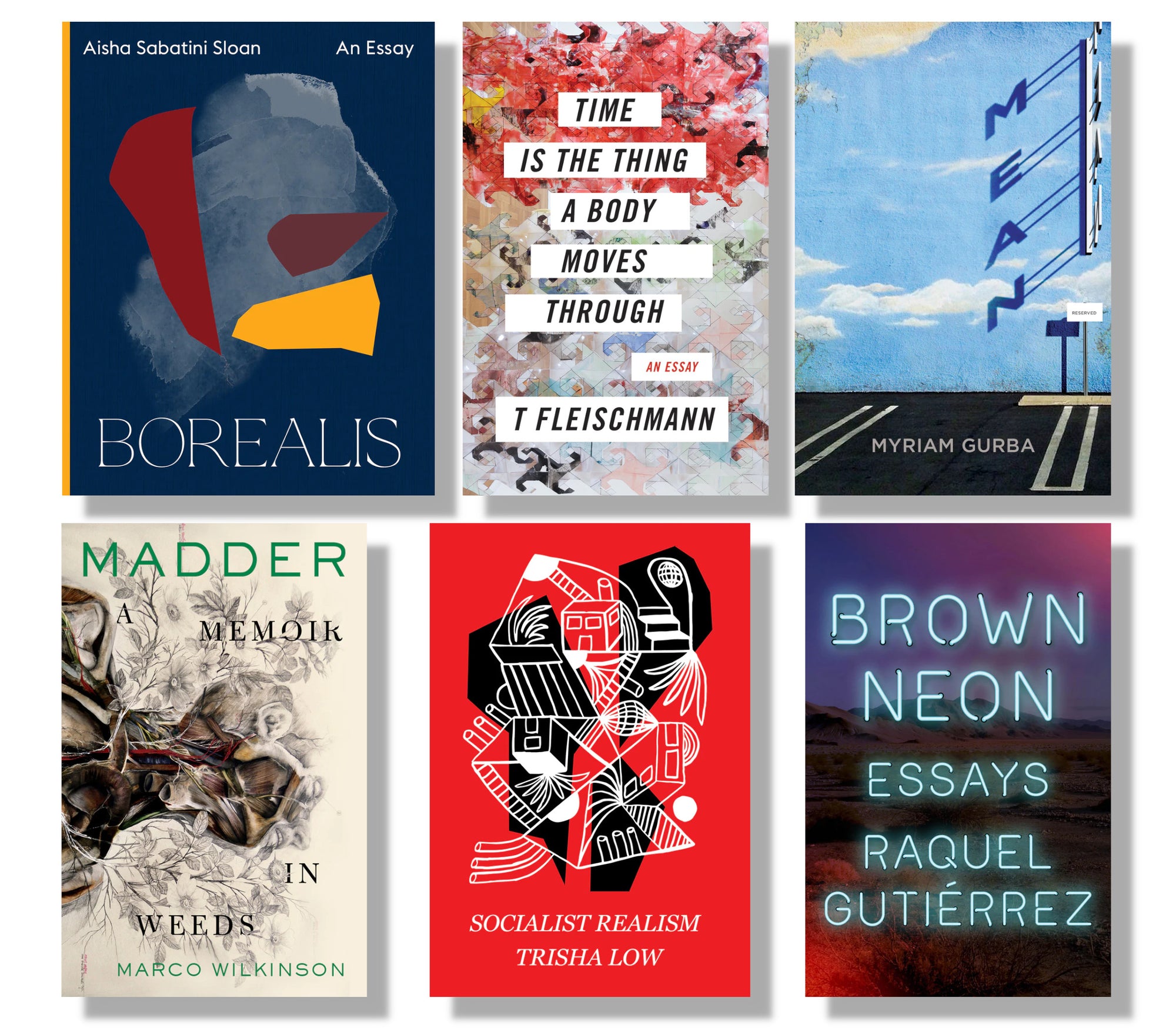Cover of the collection LGBTQ Nonfiction, highlighting six titles; "Borealis", "Time Is The Thing A Body Moves Through", "Mean", "Madder", "Socialist Realism", and "Brown Neon". 