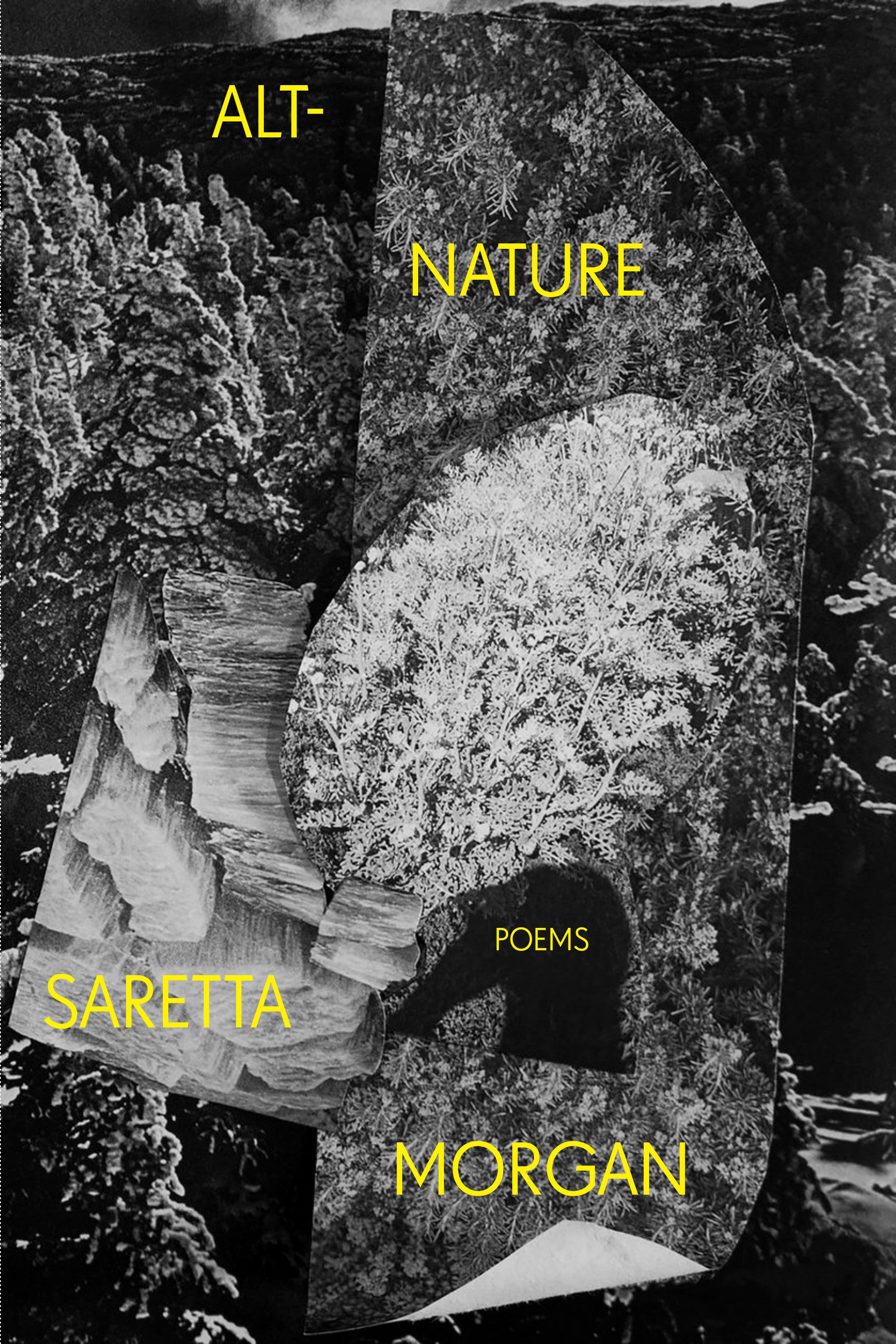 Book Cover featuring black and white nature art with the title and author in minimalistic yellow text