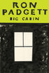 Book cover featuring a green block in the top third of the cover with the author and title written black text and a hastily colored in black lower half of cover with a white window in the middle