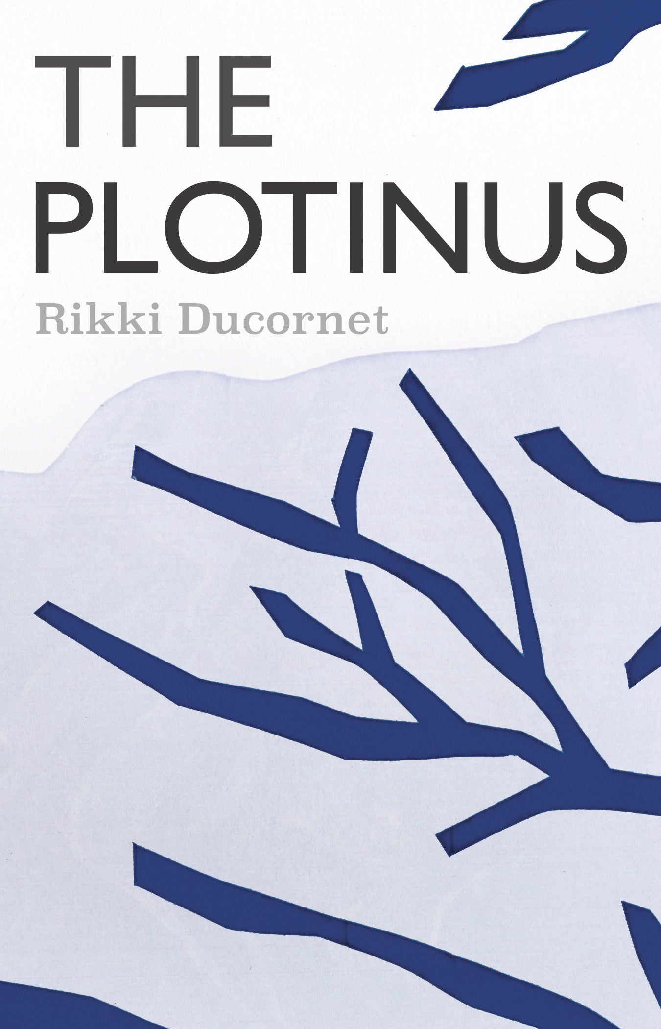 The Plotinus – Coffee House Press