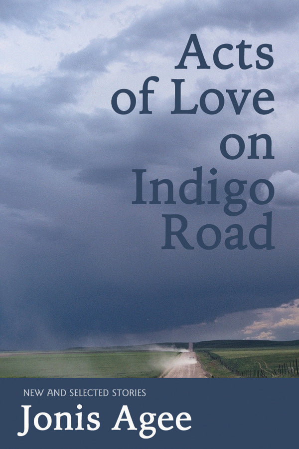 Cover of Jonis Agee's "Acts of Love on the Indigo Road," with a stormy sky and a dirt road in between two green fields. 