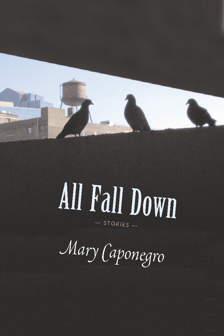 Cover of "All Fall Down," By Mary Caponegro, with a black background, three silhouetted birds, and a clear blue sky in the distance.