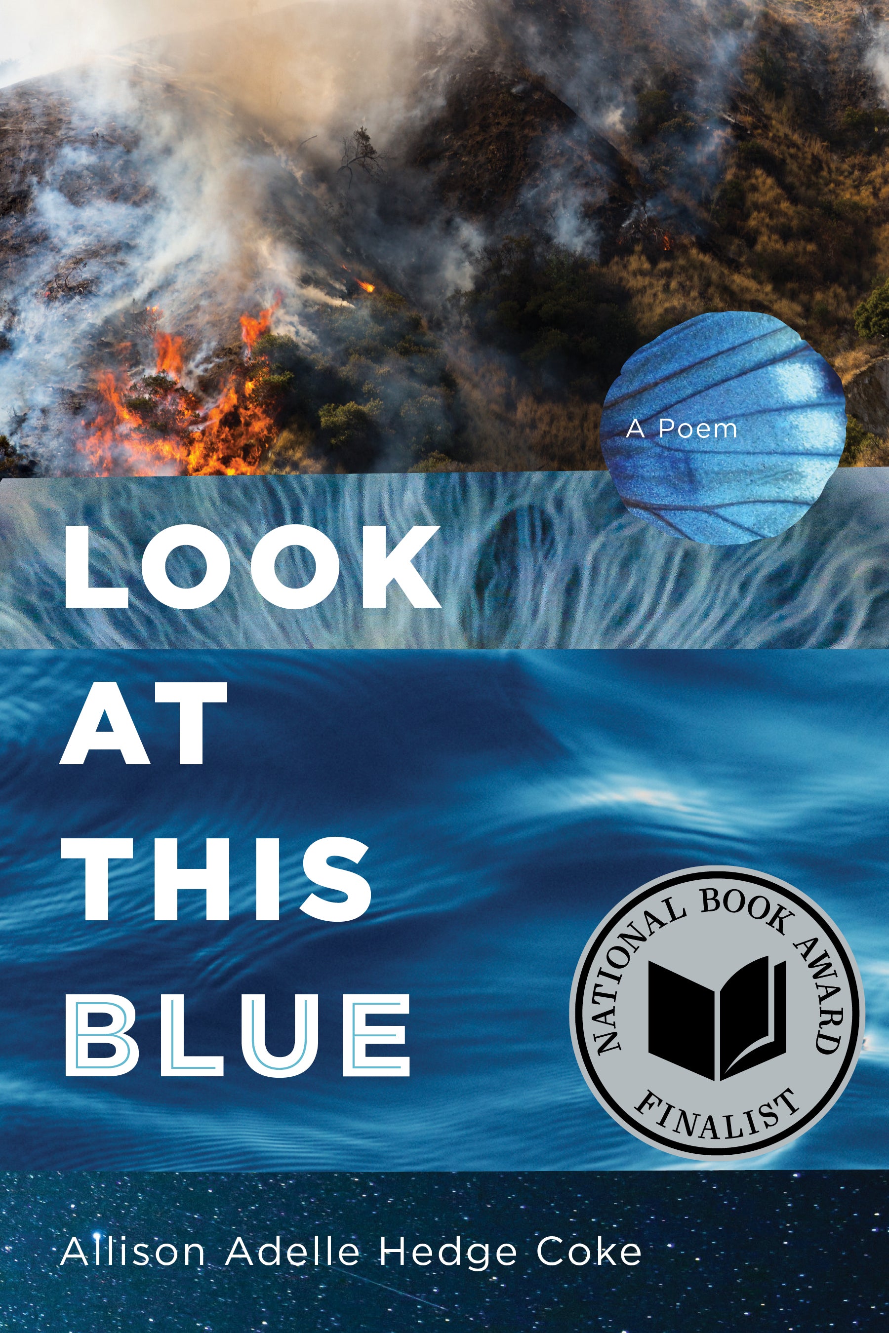 Book cover featuring cover split into four images of nature including forest fire, an eye, water, and a night sky. Title in white text on the left side.