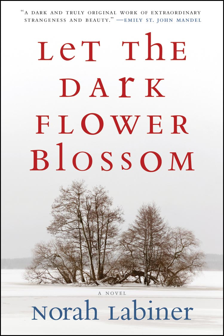 Cover of "Let the Dark Flower Blossom," by Norah Labiner, featuring an image of a field covered in snow and a cluster of bare-limbed trees. 