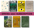 Cover of the Spring 2021 Subscription, showcasing the covers of the seven featured titles; "When Death Takes Something From You Give It Back", "Trafik", "Echo Tree", "A Complex Sentence", "Homes", "Variations on the Body", and "The Glassy, Burning Floor of Hell". 