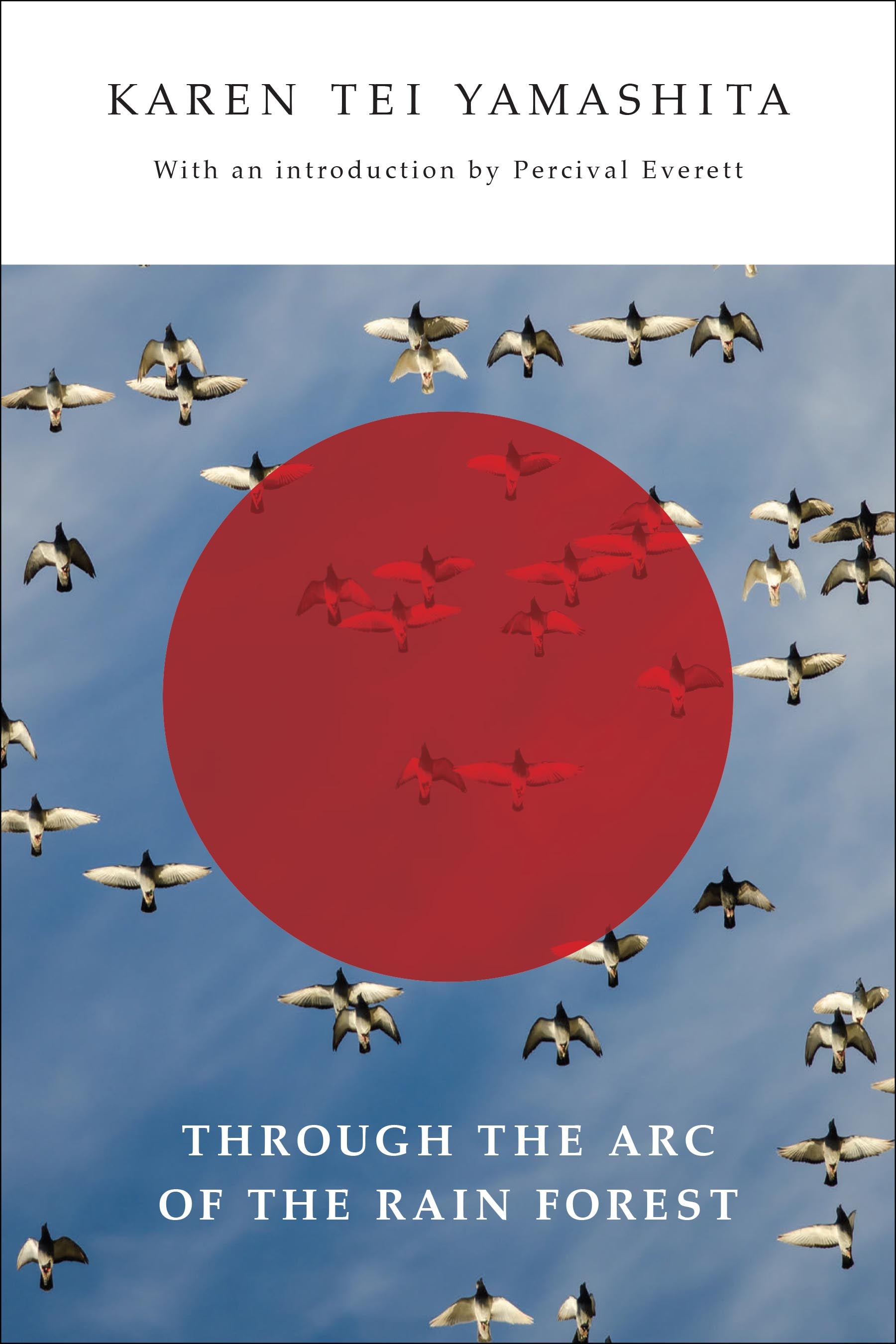 Book Cover featuring image of birds flying through blue sky with a red transparent circle in the middle of the image.